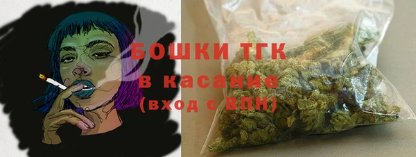 дмт Медвежьегорск