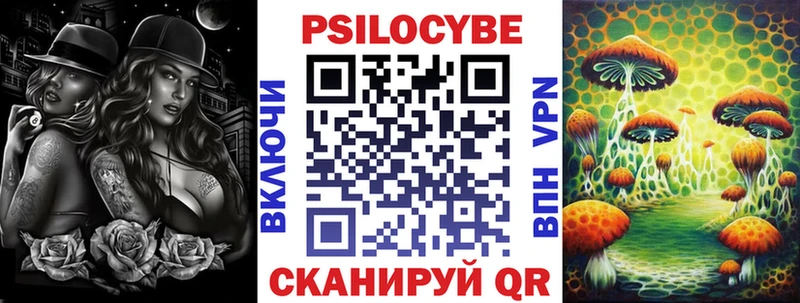 где купить наркоту  omg рабочий сайт  Псилоцибиновые грибы Cubensis  Славск 
